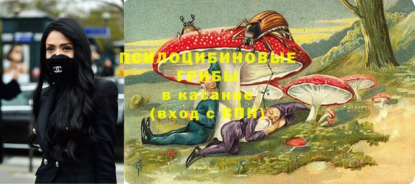 кристаллы Осинники