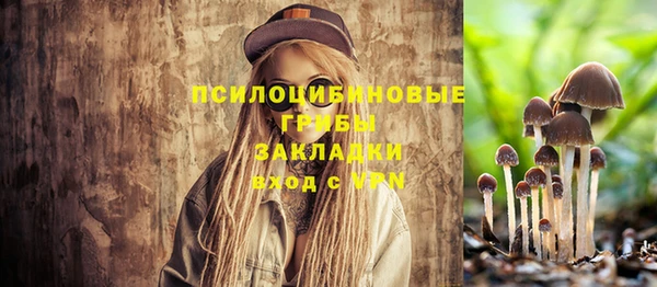 СК Аркадак